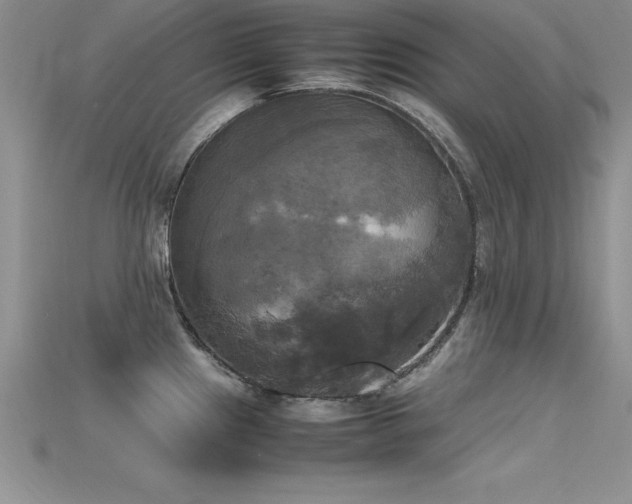 X0000115661241200911121207