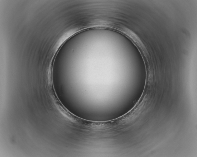X0000115661242200911121207