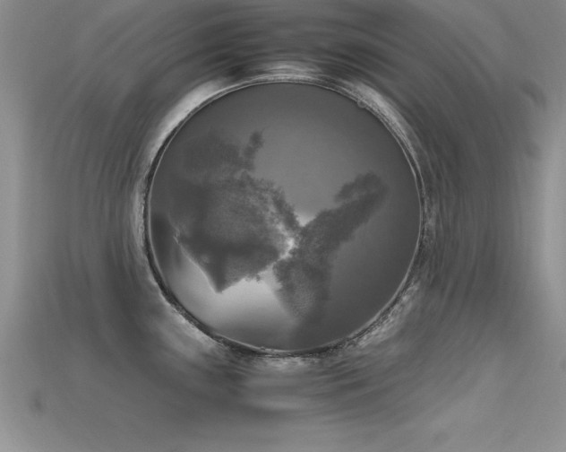 X0000115661243200911121207