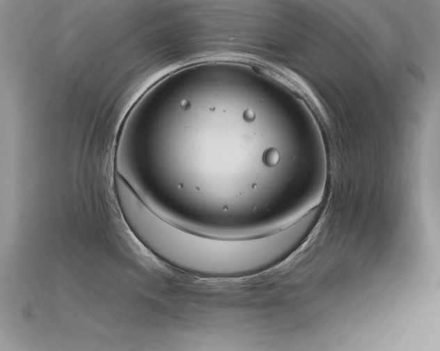 X0000115661244200911121207