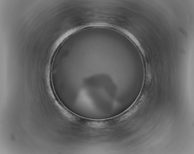 X0000115661245200911121207