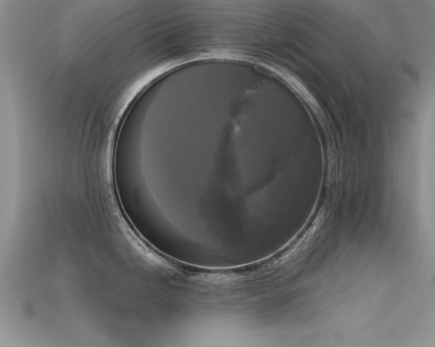 X0000115661246200911121207