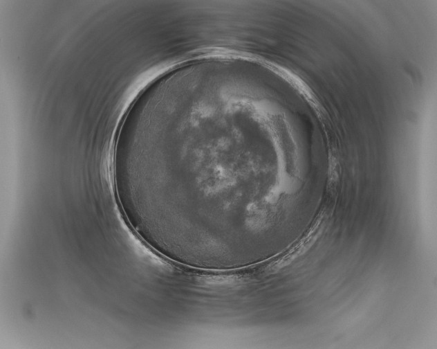 X0000115661247200911121207