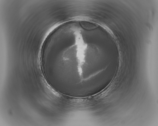X0000115661248200911121207