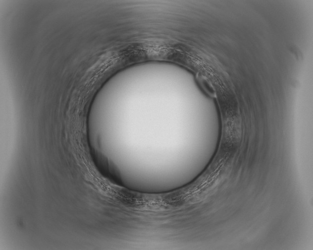 X0000115661249200911121206