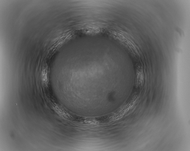 X0000115661250200911121206