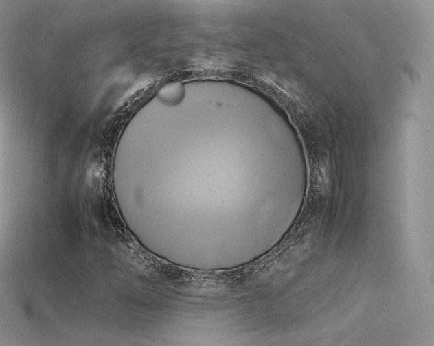 X0000115661254200911121206
