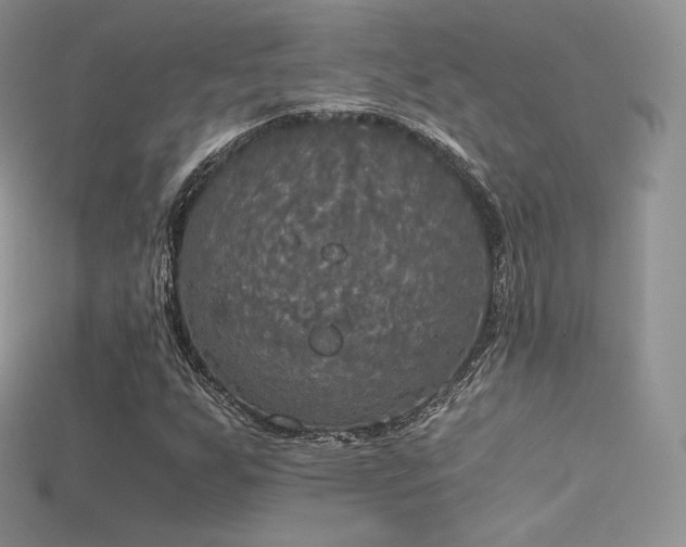 X0000115661255200911121206