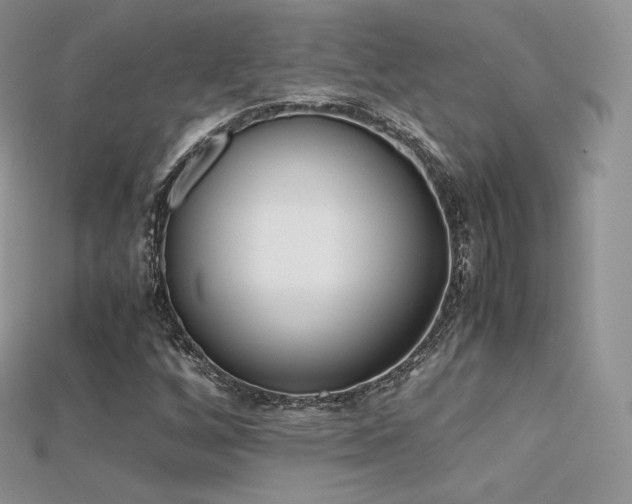X0000115661256200911121206