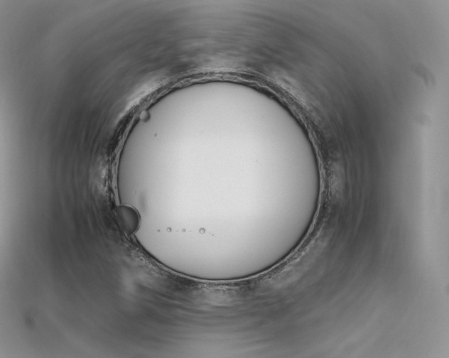 X0000115661258200911121206
