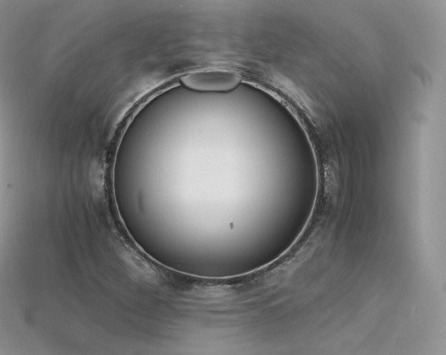 X0000115661260200911121206