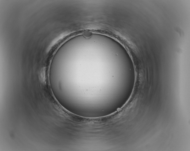 X0000115661262200911121206