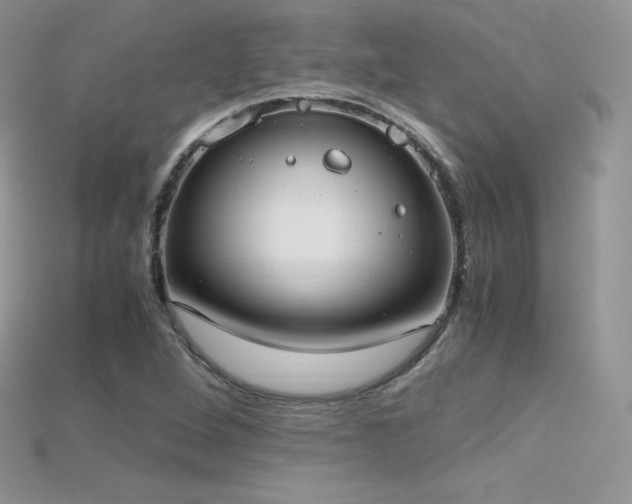 X0000115661264200911121206