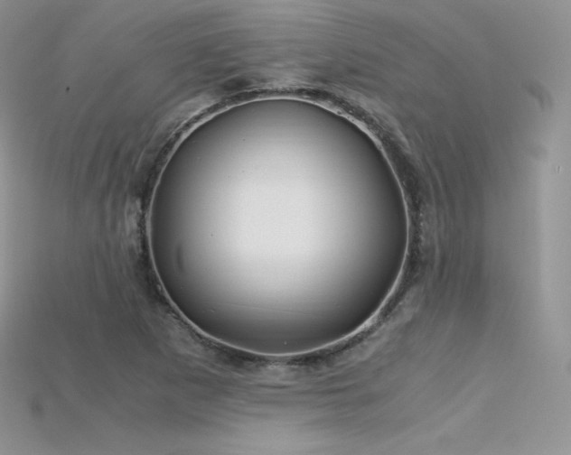 X0000115661265200911121206