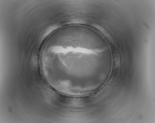 X0000115661266200911121206