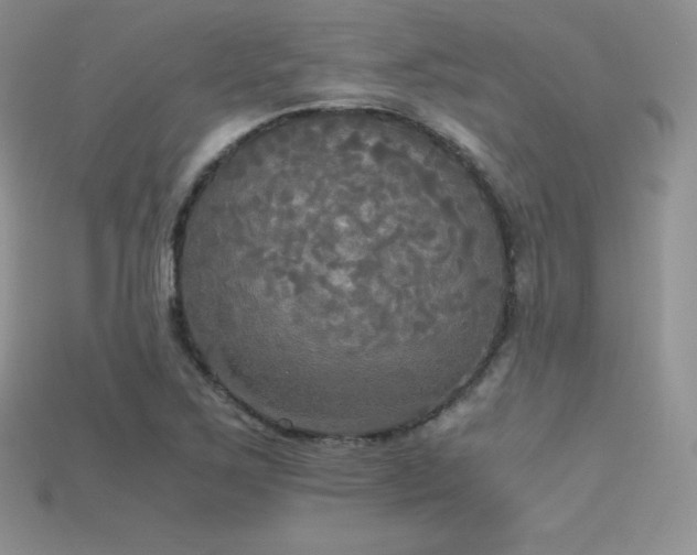 X0000115661267200911121206