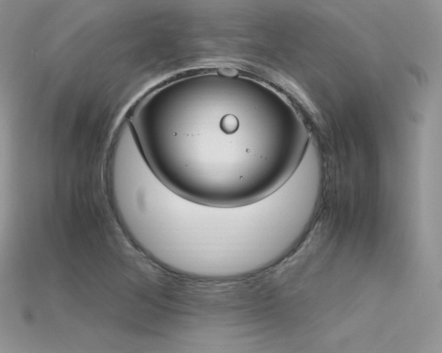 X0000115661268200911121206