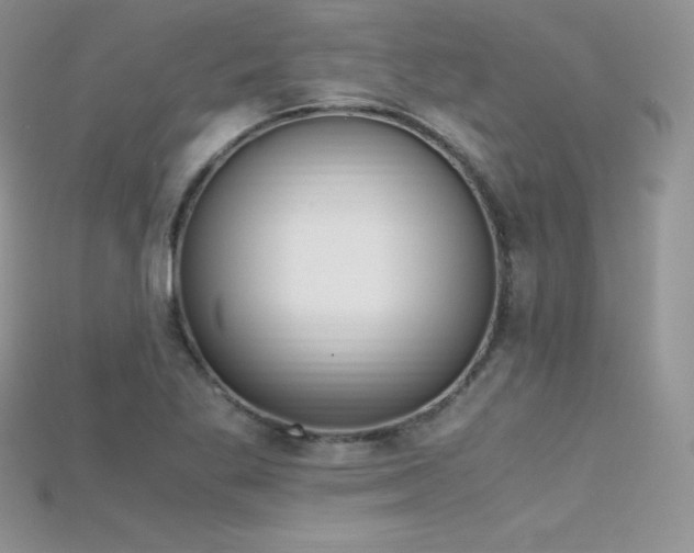 X0000115661269200911121206