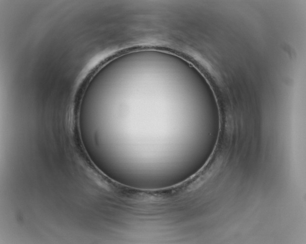 X0000115661270200911121206