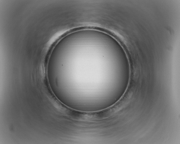 X0000115661271200911121206
