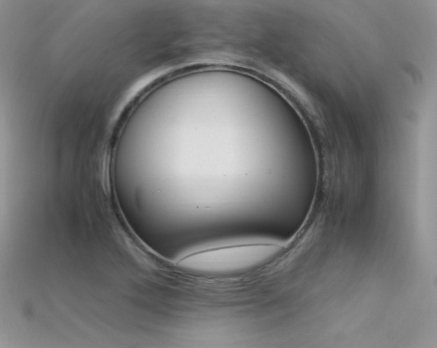 X0000115661272200911121206