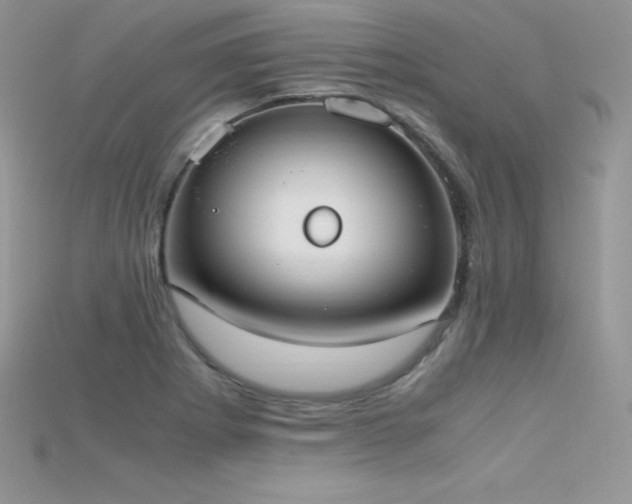 X0000115661273200911121206