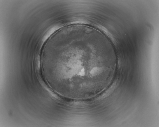 X0000115661274200911121206