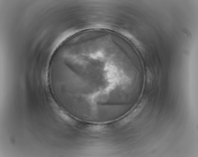 X0000115661278200911121206
