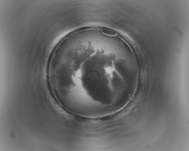 X0000115661279200911121206