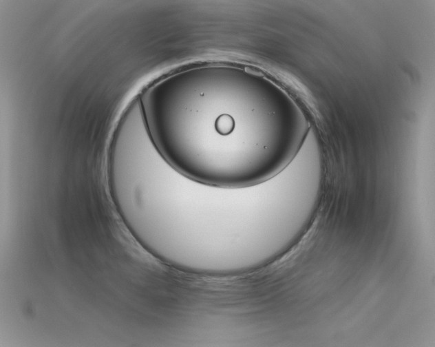 X0000115661280200911121206