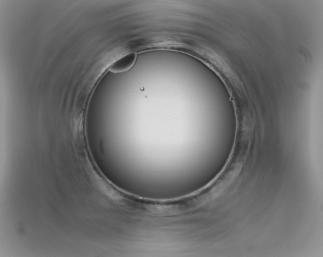 X0000115661281200911121206