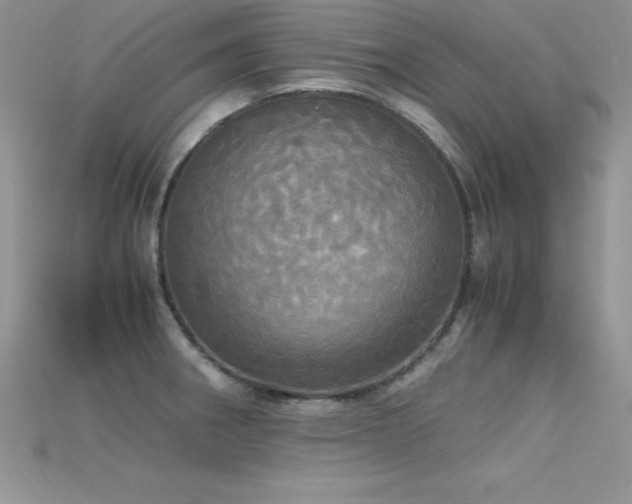 X0000115661282200911121206