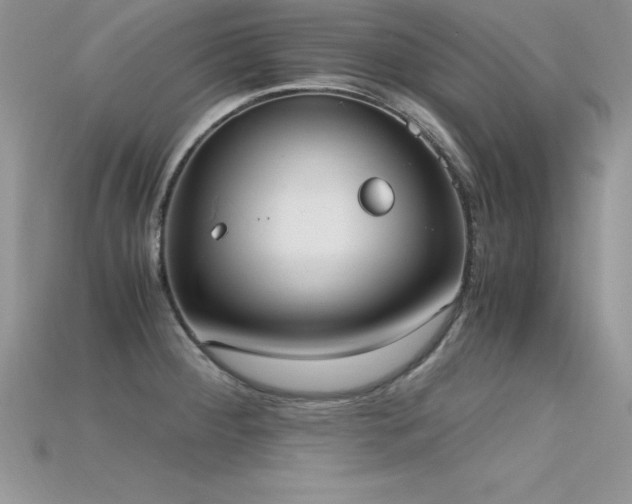 X0000115661284200911121206