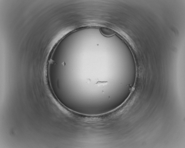 X0000115661285200911121206