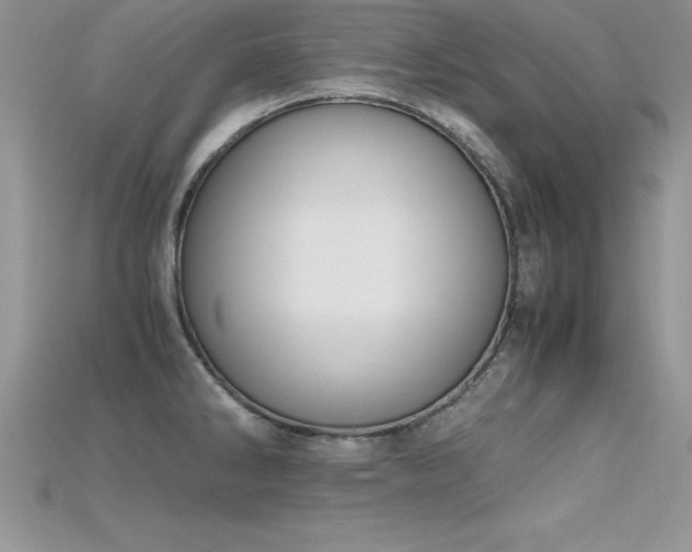 X0000115661286200911121206