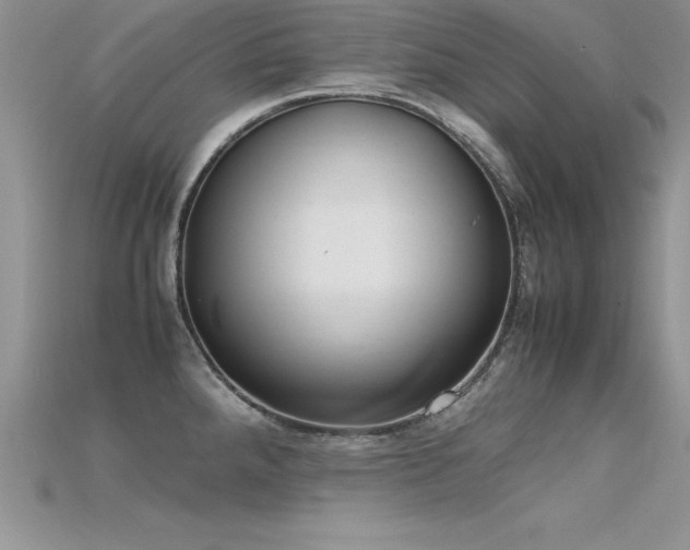 X0000115661288200911121206