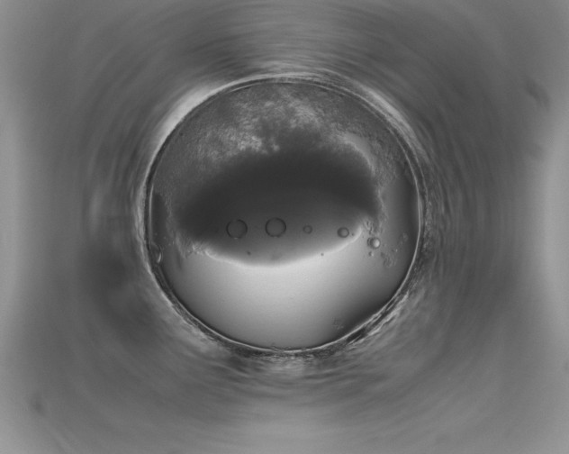 X0000115661291200911121206