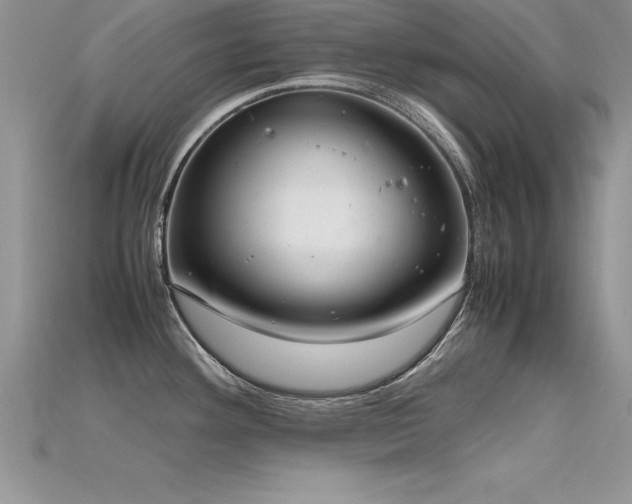 X0000115661292200911121206