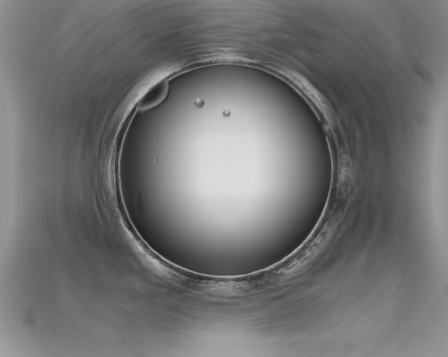 X0000115661293200911121206