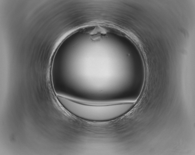 X0000115661296200911121206