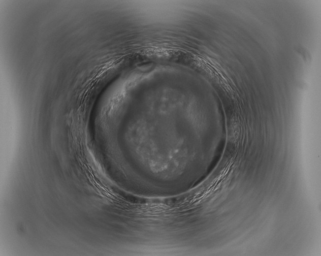 X0000115661297200911121205