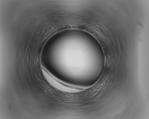 X0000115661298200911121205