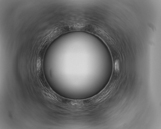 X0000115661299200911121205