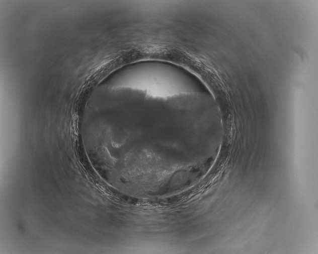 X0000115661301200911121205