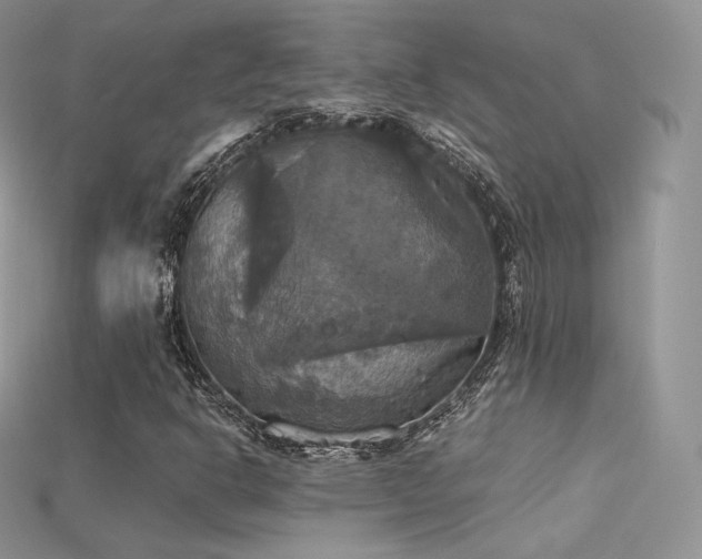 X0000115661302200911121205
