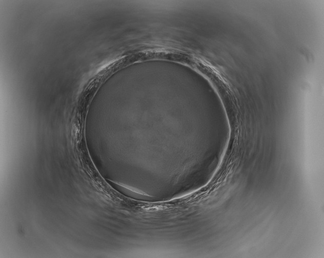 X0000115661303200911121205