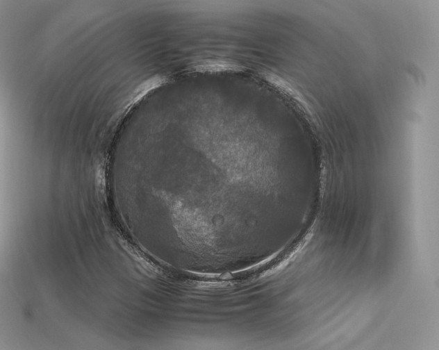 X0000115661305200911121205