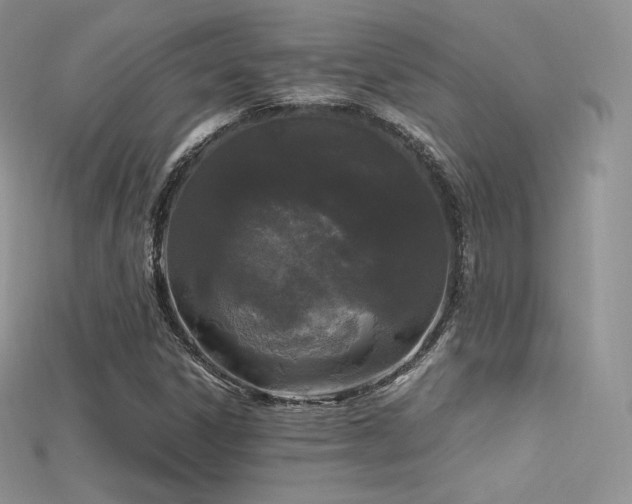 X0000115661306200911121205