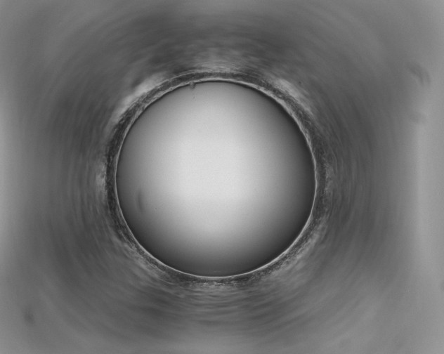 X0000115661307200911121205