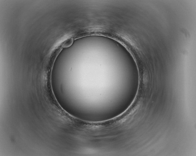 X0000115661309200911121205
